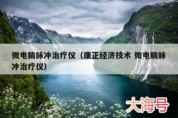 微电脑脉冲治疗仪（康正经济技术 微电脑脉冲治疗仪）