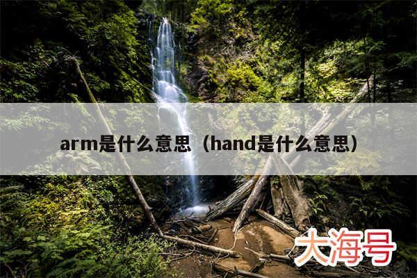 arm是什么意思（hand是什么意思）