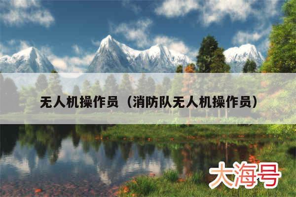 无人机操作员（消防队无人机操作员）