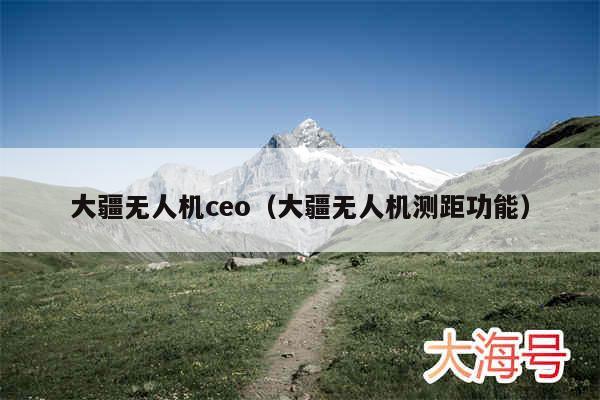 大疆无人机ceo（大疆无人机测距功能）