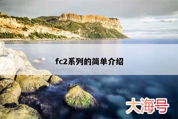 fc2系列的简单介绍