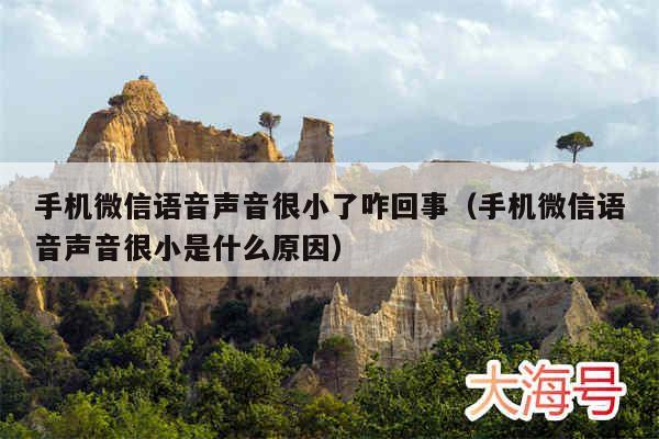 手机微信语音声音很小了咋回事（手机微信语音声音很小是什么原因）