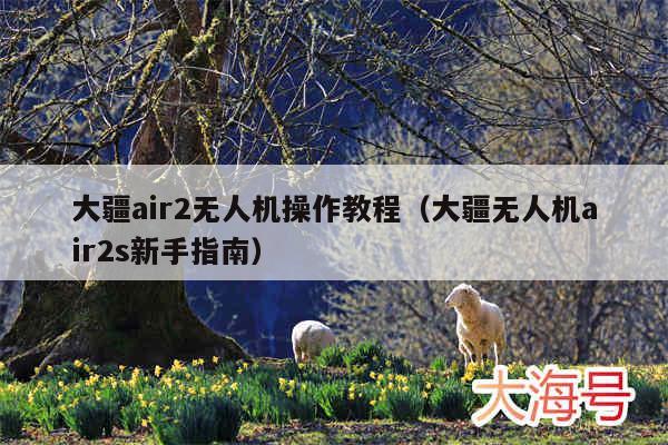 大疆air2无人机操作教程（大疆无人机air2s新手指南）