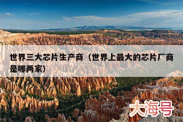 世界三大芯片生产商（世界上最大的芯片厂商是哪两家）
