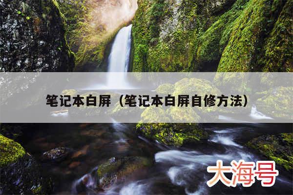 笔记本白屏（笔记本白屏自修方法）