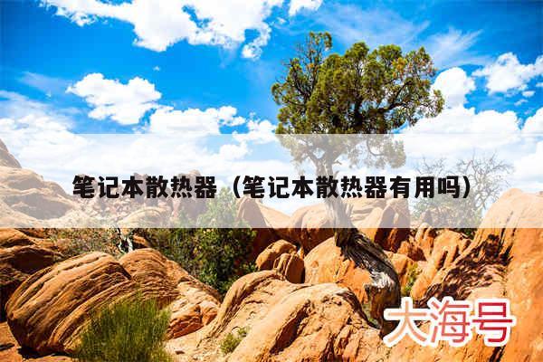 笔记本散热器（笔记本散热器有用吗）
