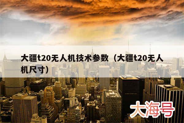 大疆t20无人机技术参数（大疆t20无人机尺寸）