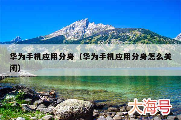 华为手机应用分身（华为手机应用分身怎么关闭）