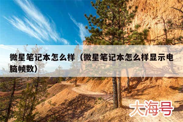 微星笔记本怎么样（微星笔记本怎么样显示电脑帧数）