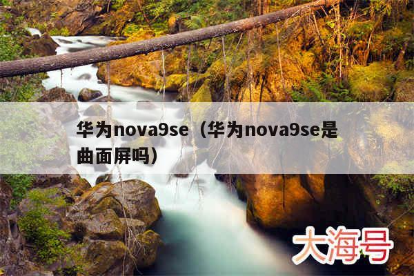 华为nova9se（华为nova9se是曲面屏吗）