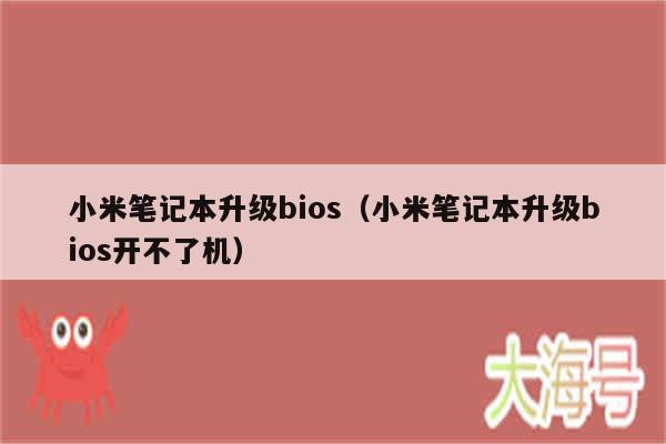 小米笔记本升级bios（小米笔记本升级bios开不了机）