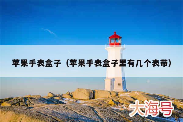 苹果手表盒子（苹果手表盒子里有几个表带）
