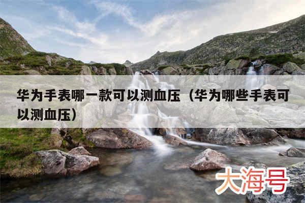 华为手表哪一款可以测血压（华为哪些手表可以测血压）