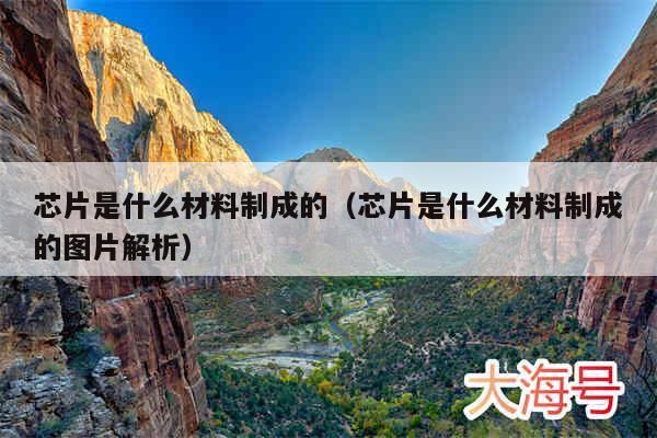 芯片是什么材料制成的（芯片是什么材料制成的图片解析）