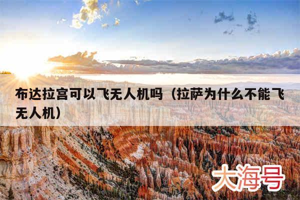 布达拉宫可以飞无人机吗（拉萨为什么不能飞无人机）