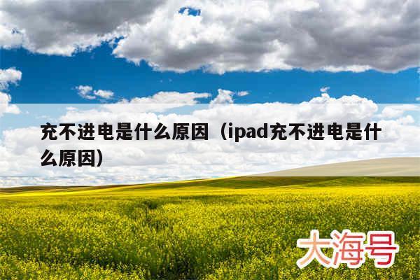 充不进电是什么原因（ipad充不进电是什么原因）