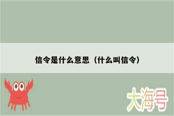 信令是什么意思（什么叫信令）