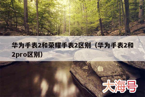 华为手表2和荣耀手表2区别（华为手表2和2pro区别）