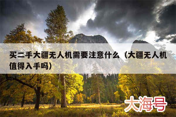 买二手大疆无人机需要注意什么（大疆无人机值得入手吗）