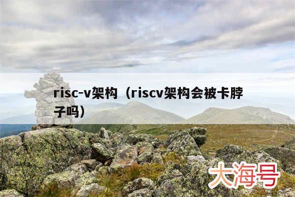 risc-v架构（riscv架构会被卡脖子吗）