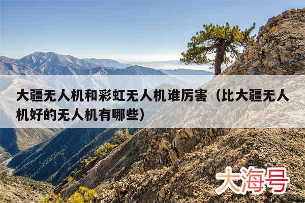 大疆无人机和彩虹无人机谁厉害（比大疆无人机好的无人机有哪些）