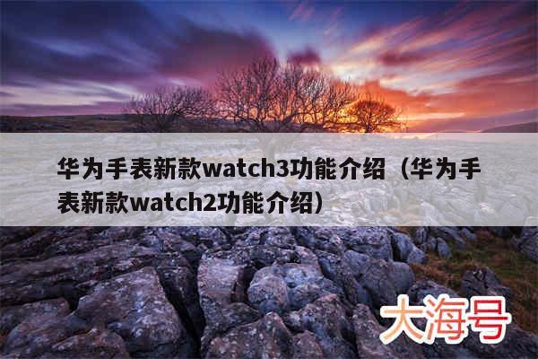 华为手表新款watch3功能介绍（华为手表新款watch2功能介绍）