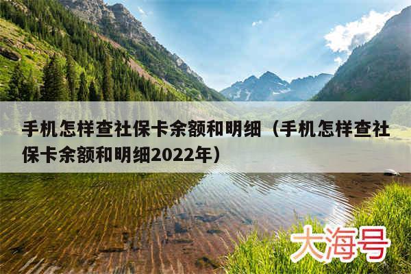 手机怎样查社保卡余额和明细（手机怎样查社保卡余额和明细2022年）