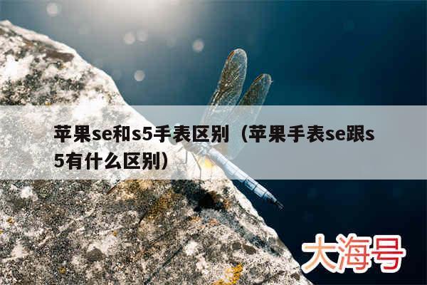 苹果se和s5手表区别（苹果手表se跟s5有什么区别）
