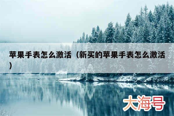 苹果手表怎么激活（新买的苹果手表怎么激活）