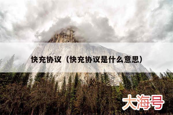 快充协议（快充协议是什么意思）