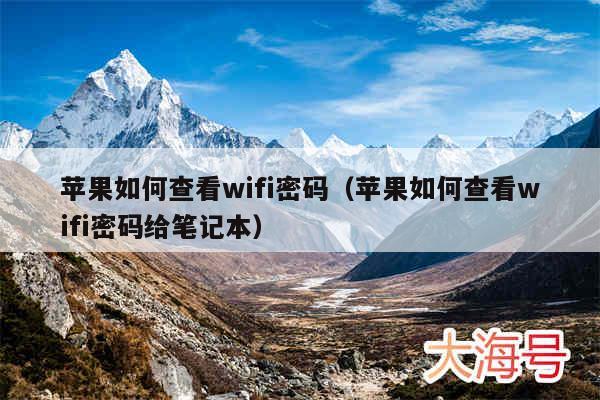苹果如何查看wifi密码（苹果如何查看wifi密码给笔记本）