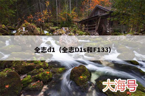 全志d1（全志D1s和F133）