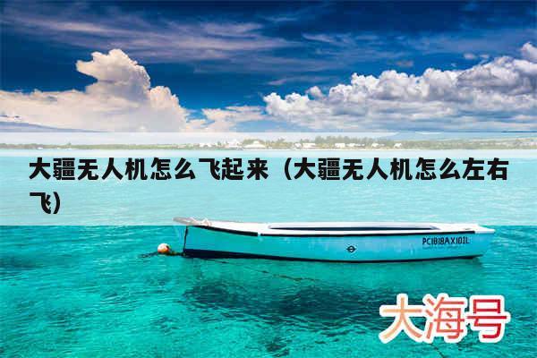大疆无人机怎么飞起来（大疆无人机怎么左右飞）