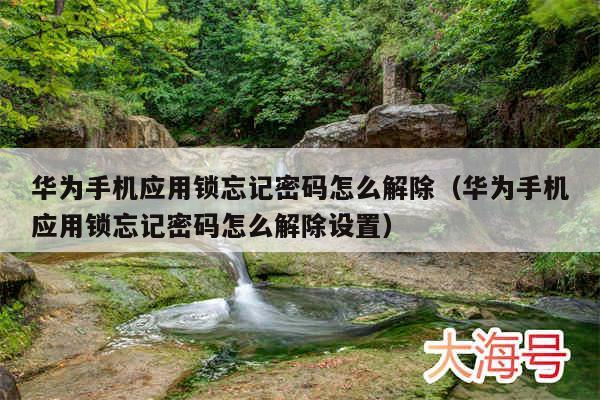 华为手机应用锁忘记密码怎么解除（华为手机应用锁忘记密码怎么解除设置）