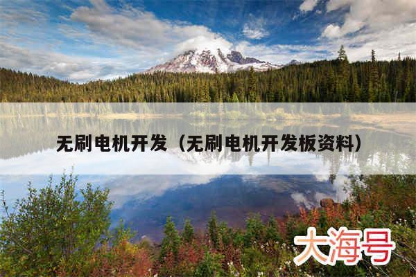 无刷电机开发（无刷电机开发板资料）