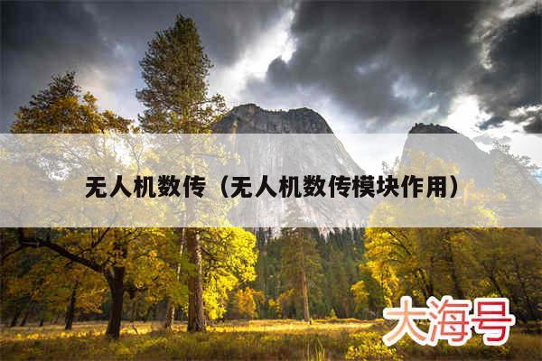 无人机数传（无人机数传模块作用）