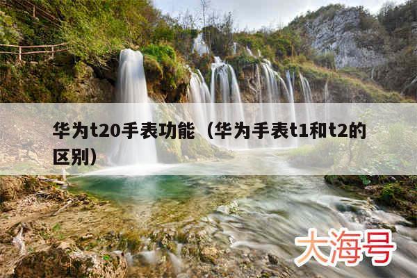 华为t20手表功能（华为手表t1和t2的区别）