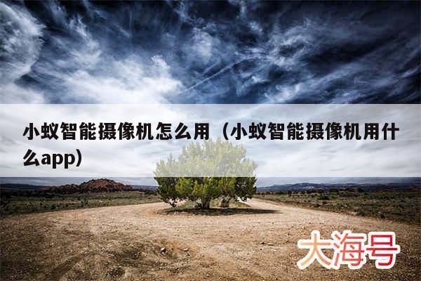 小蚁智能摄像机怎么用（小蚁智能摄像机用什么app）