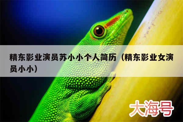精东影业演员苏小小个人简历（精东影业女演员小小）