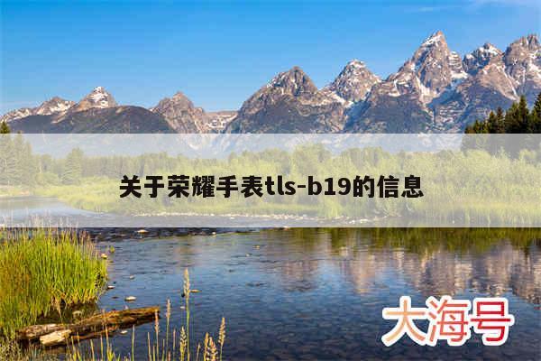 关于荣耀手表tls-b19的信息