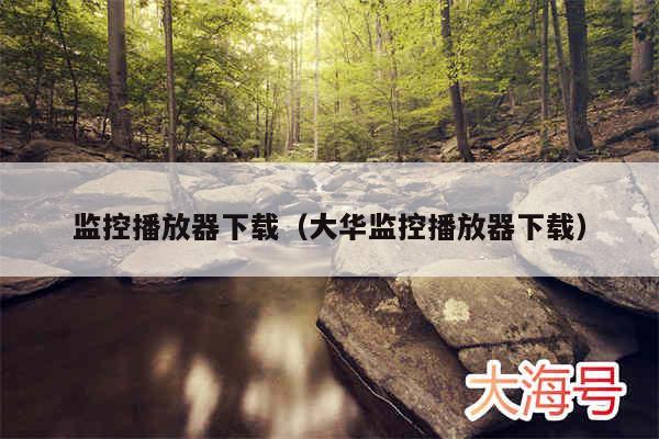 监控播放器下载（大华监控播放器下载）