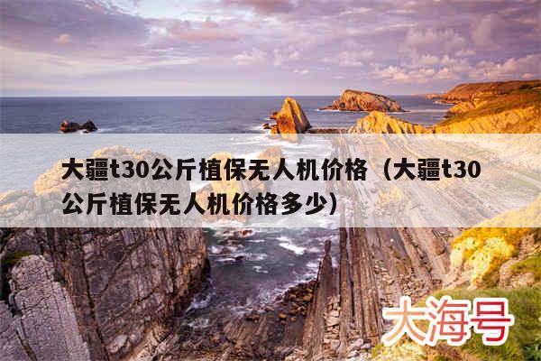 大疆t30公斤植保无人机价格（大疆t30公斤植保无人机价格多少）