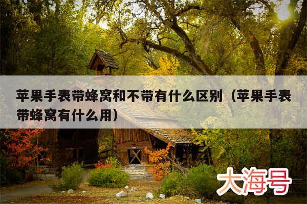苹果手表带蜂窝和不带有什么区别（苹果手表带蜂窝有什么用）
