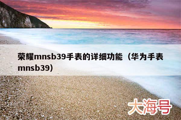 荣耀mnsb39手表的详细功能（华为手表mnsb39）