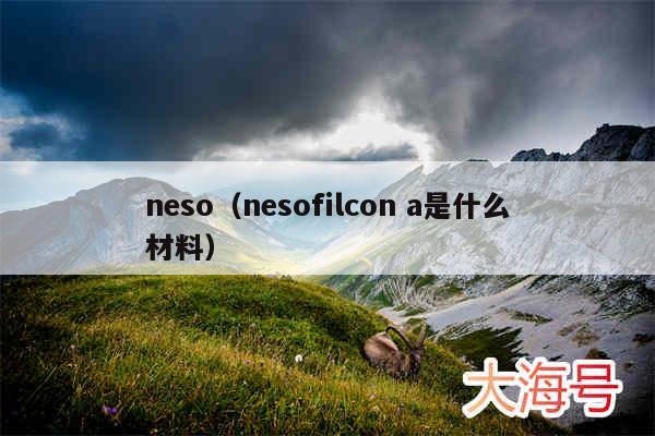 neso（nesofilcon a是什么材料）