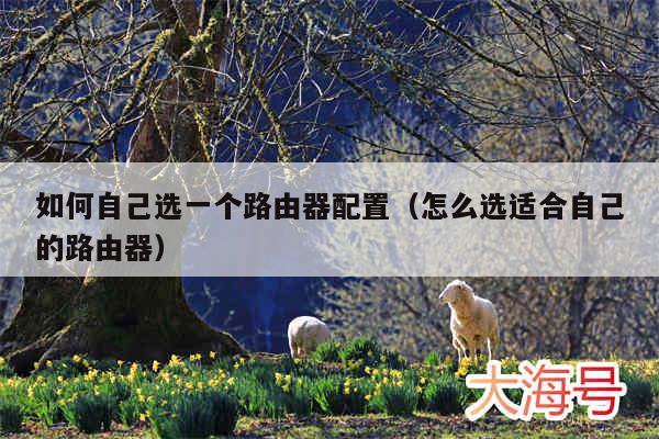如何自己选一个路由器配置（怎么选适合自己的路由器）