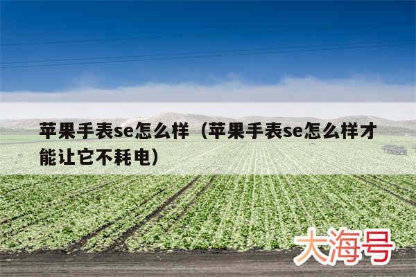 苹果手表se怎么样（苹果手表se怎么样才能让它不耗电）