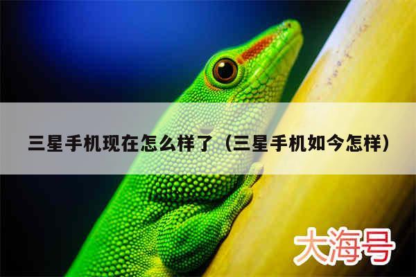 三星手机现在怎么样了（三星手机如今怎样）