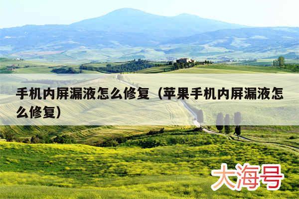 手机内屏漏液怎么修复（苹果手机内屏漏液怎么修复）