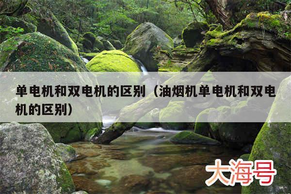 单电机和双电机的区别（油烟机单电机和双电机的区别）